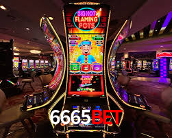 6665bet.com